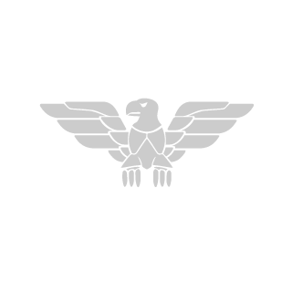 FS_Halcon's emblem