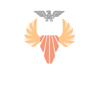 timmy4henriks's emblem