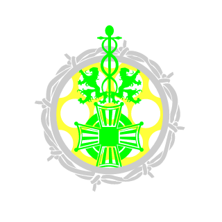311firestorm's emblem