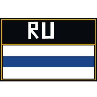 Nikitosik231415's emblem