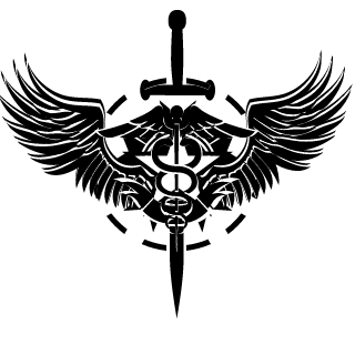 Storm Division North's emblem