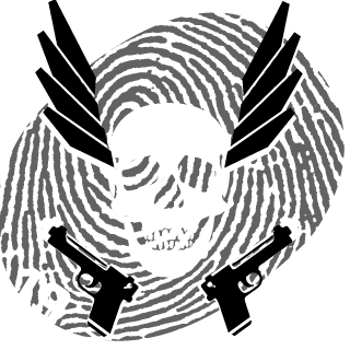 SkyFall1911's emblem